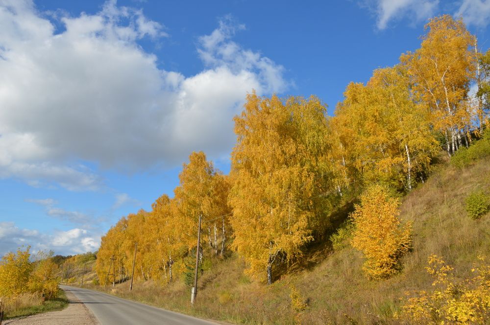 Photograph by Татьяна Ненюхина