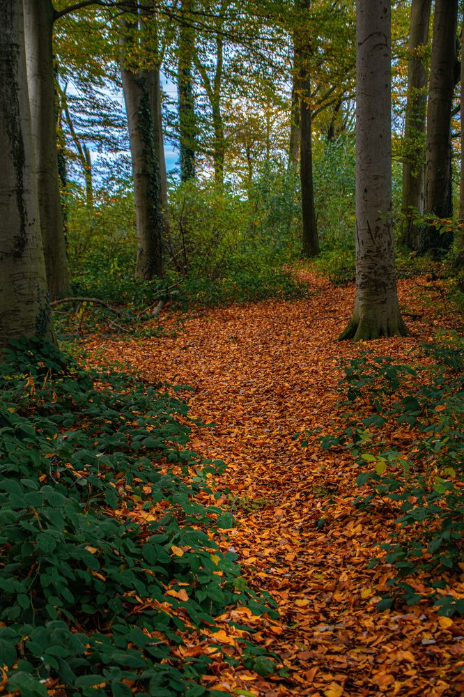 Photograph by Vitalii Kaznin