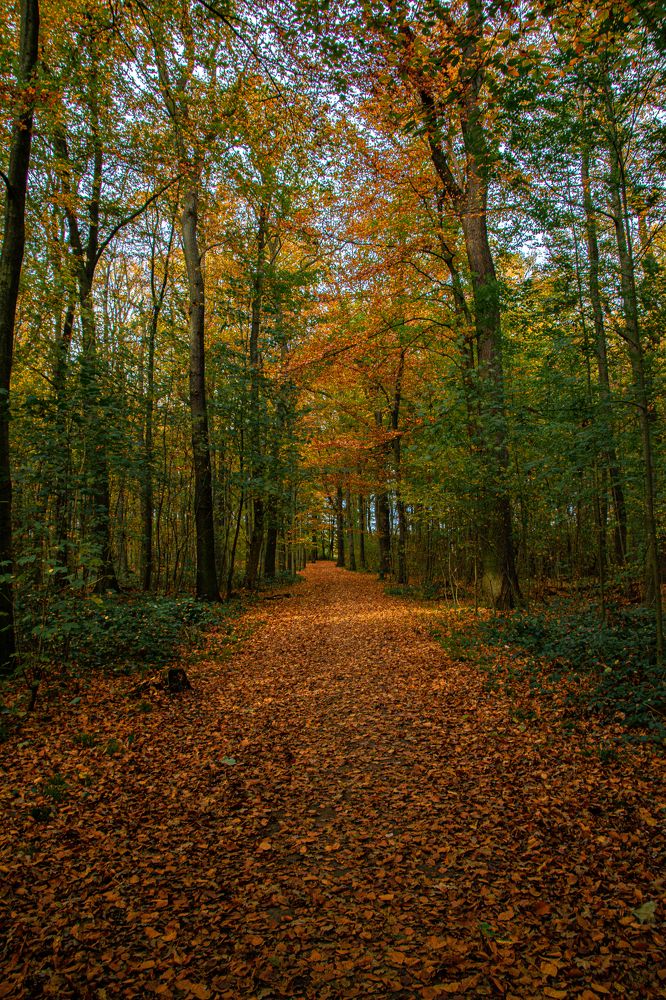 Photograph by Vitalii Kaznin