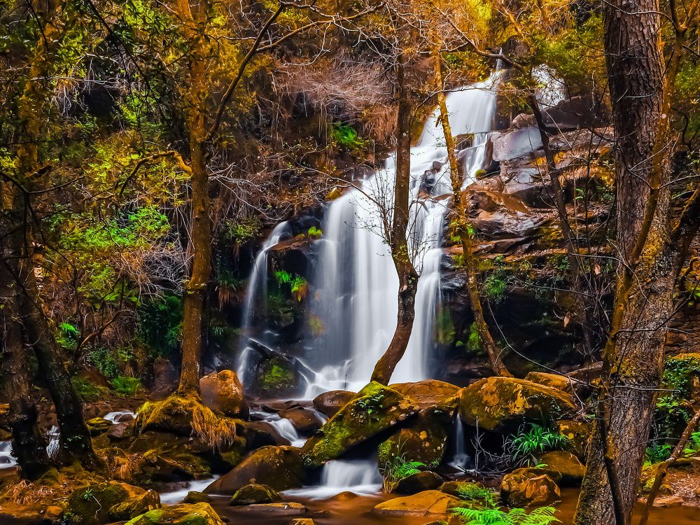 Photograph by Fernando Tavares