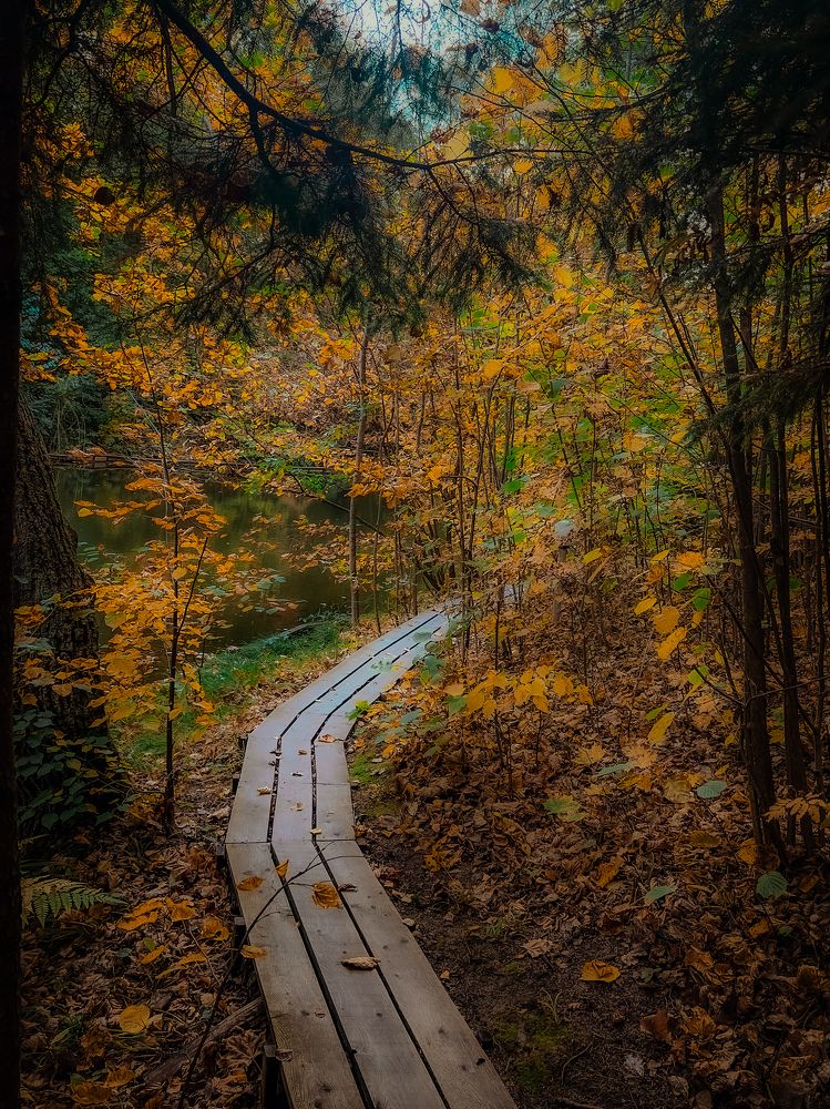 Photograph by Mikhail Smirnov