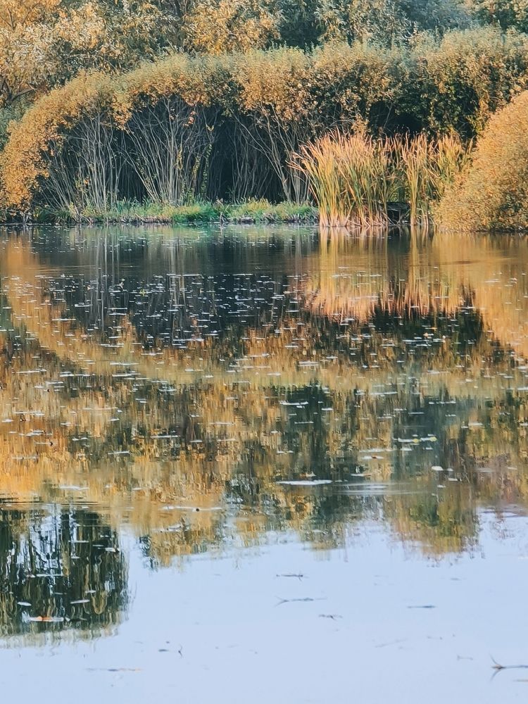 Photograph by Victoria Stoliarenko