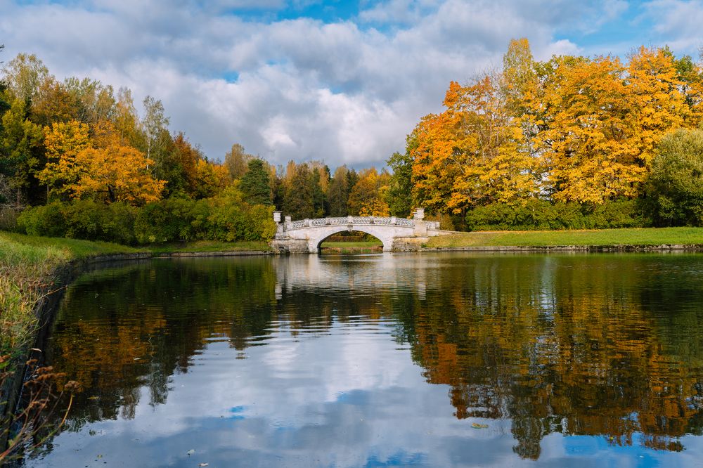 Photograph by Ксения Плоткина