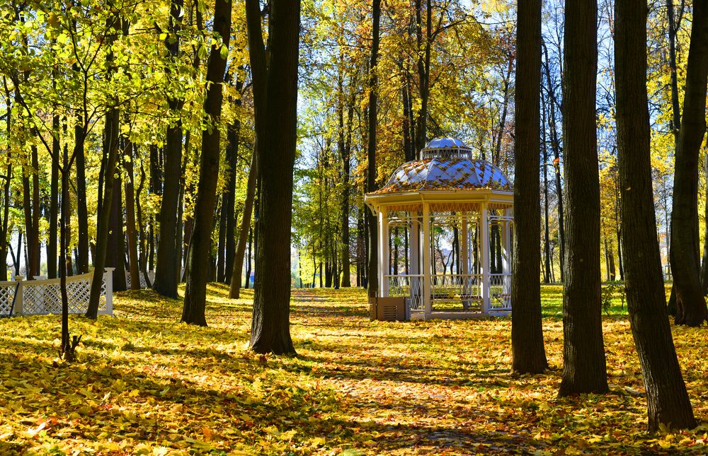 Photograph by Надежда