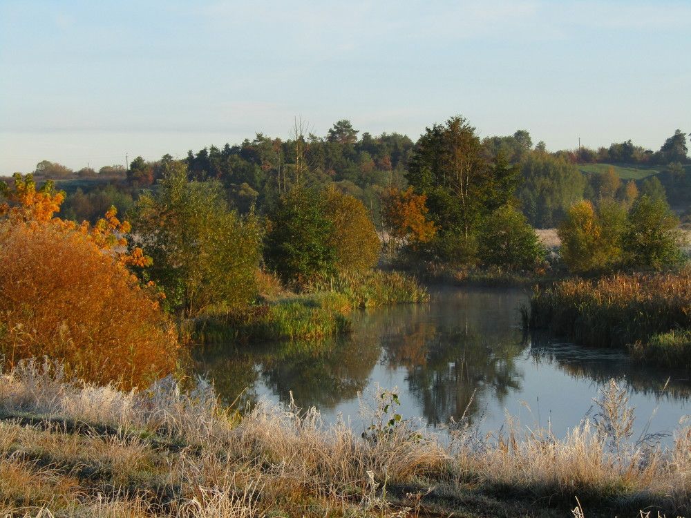 Photograph by лариса