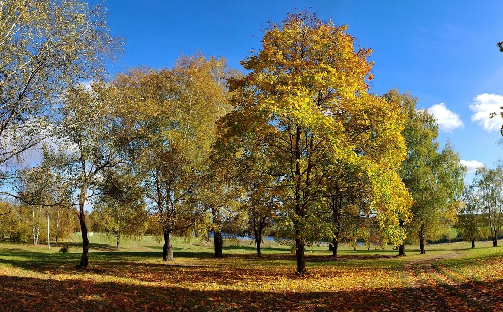 Photograph by Павел Колеснев