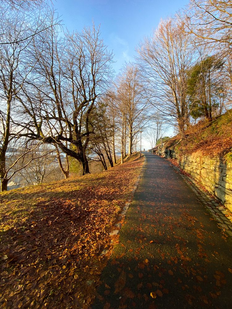 Photograph by Ірина Чумакова