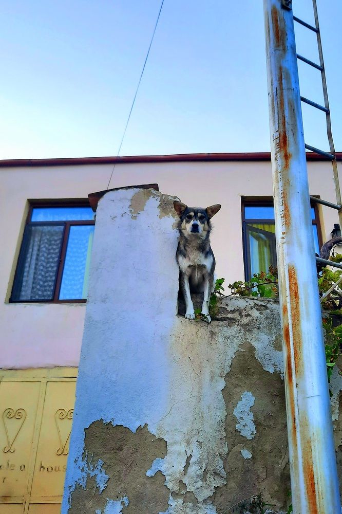 Photograph by Мария Тригуб