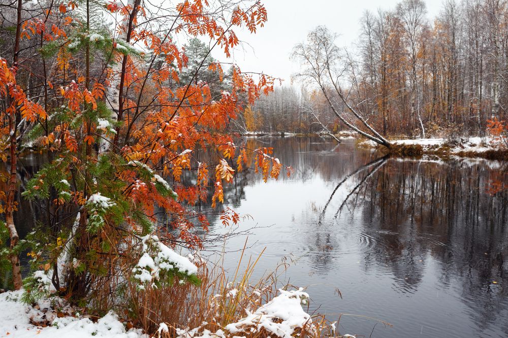 Photograph by Александр Кузнецов