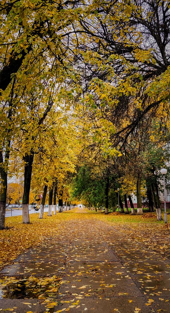 Фотография автора Алёна Подгорная