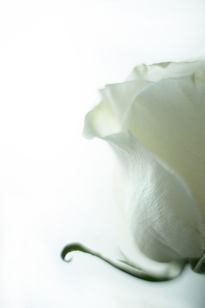 Photograph by Ольга Станкова