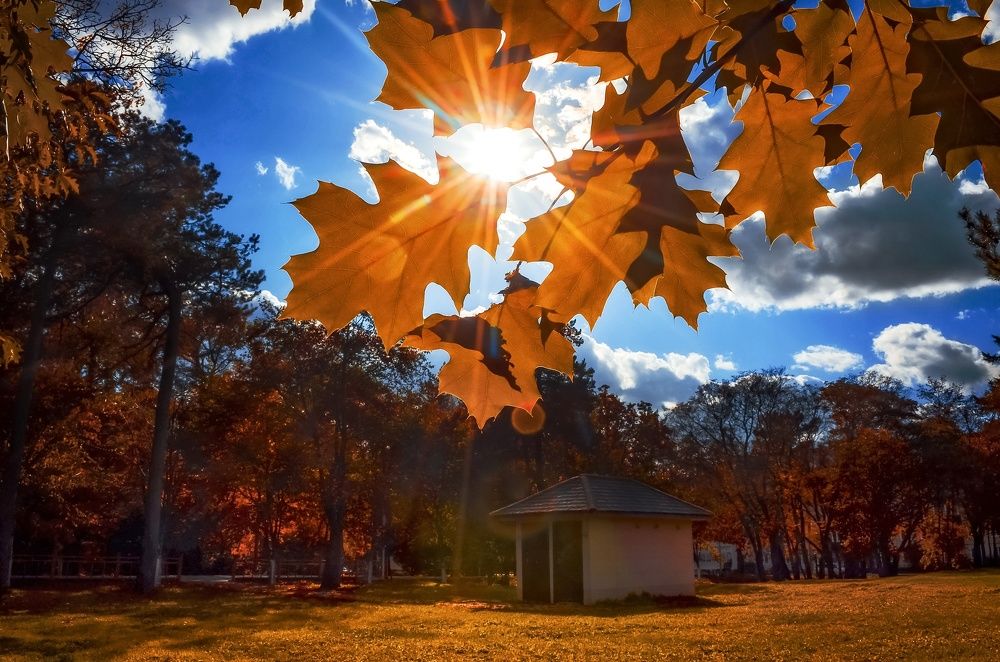 Photograph by Вероника Ливанова