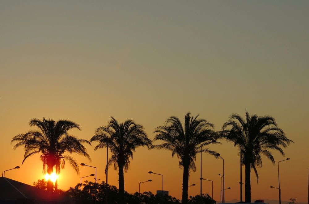 Photograph by Алина Логвиненко