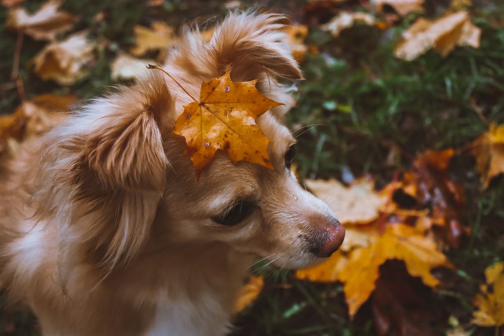 Photograph by Алина Логвиненко