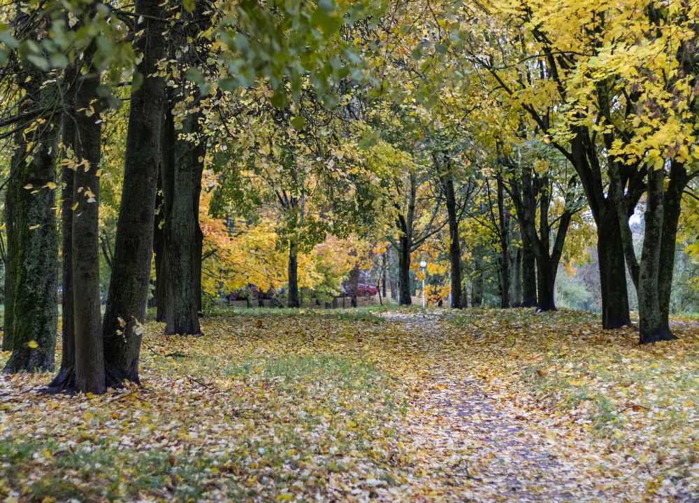 Photograph by Katerina Makhtadui