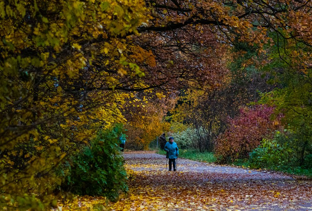 Photograph by Ирина Саломатина