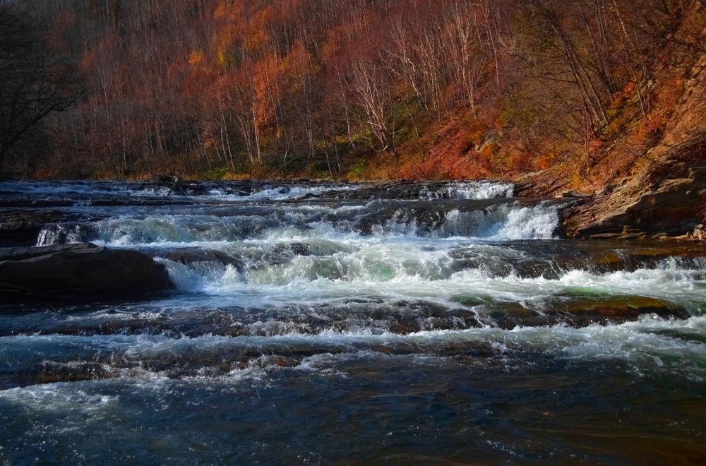 Photograph by Вероника Ливанова