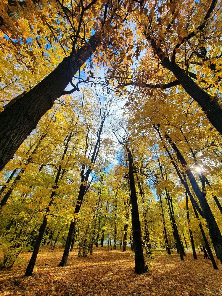 Photograph by Алина Логвиненко