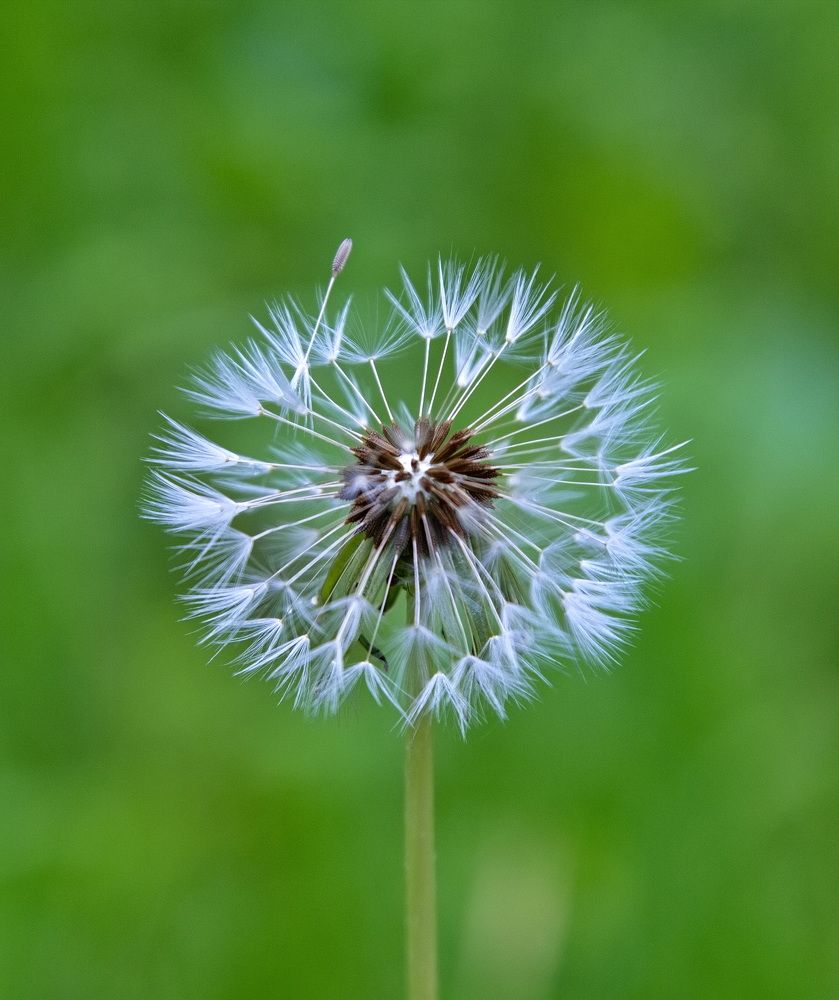 Photograph by Алексей Хазов