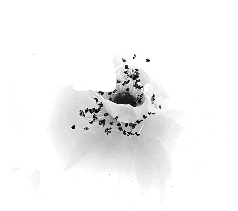 Photograph by Ева Кучугурова