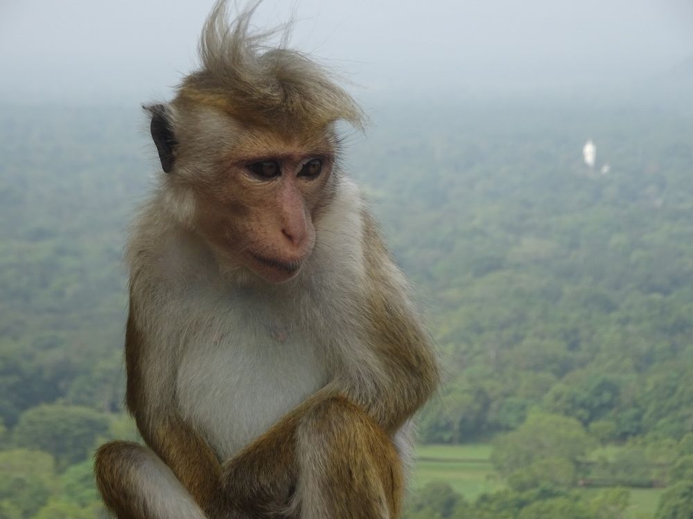 Photograph by Игнатова Марина