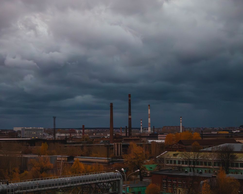 Фотография автора олег романов