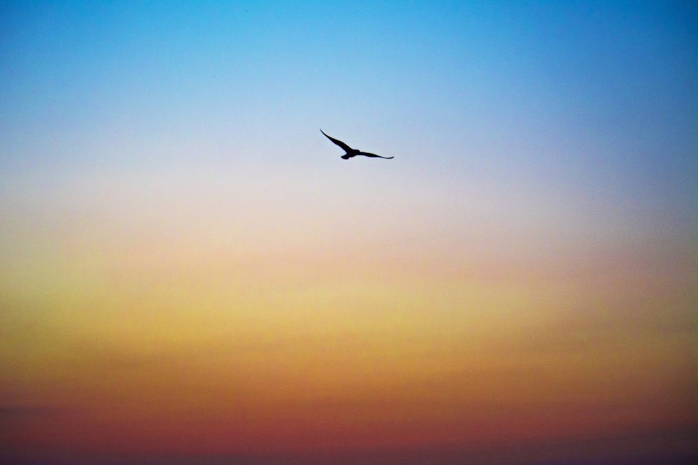 Photograph by Марина Канавченко