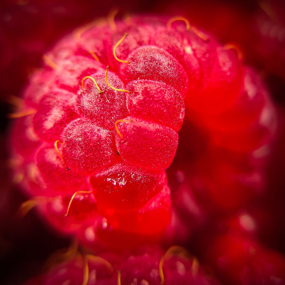 Фотография автора Александр Хухлов