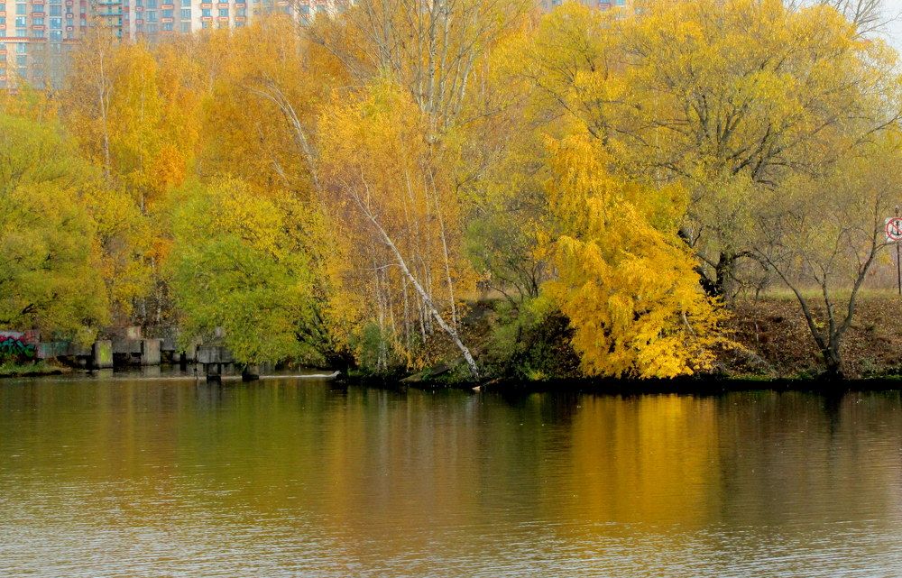 Золотая осень!