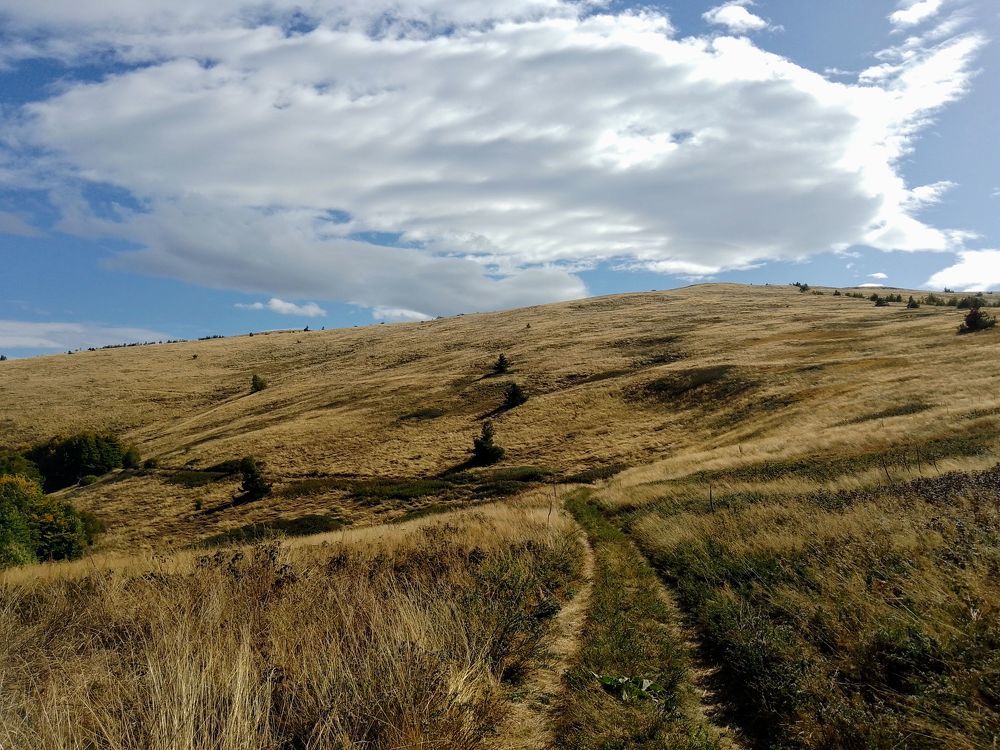 Фотография автора Liliya Slavcheva