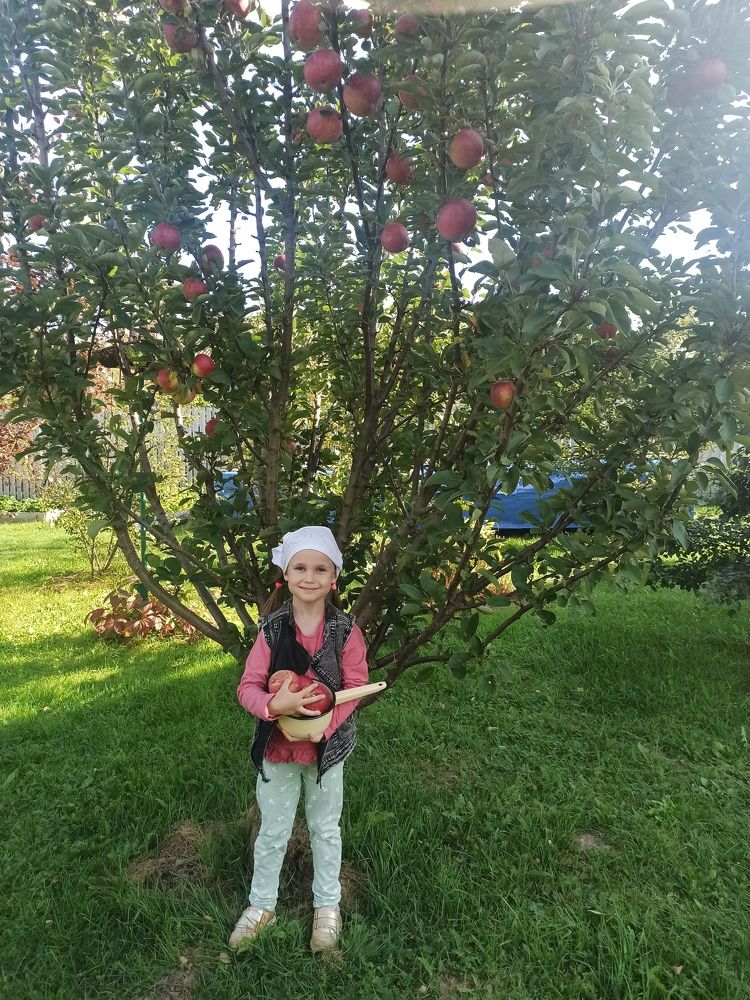 Photograph by Светлана Паренкова