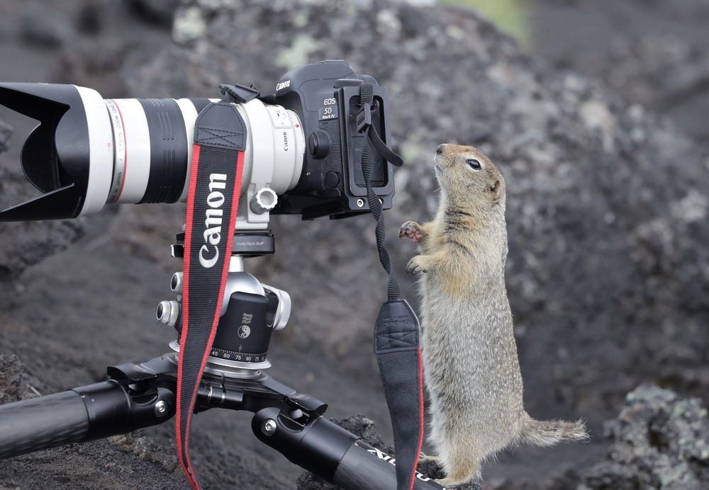 Photograph by Leonid Golubkov