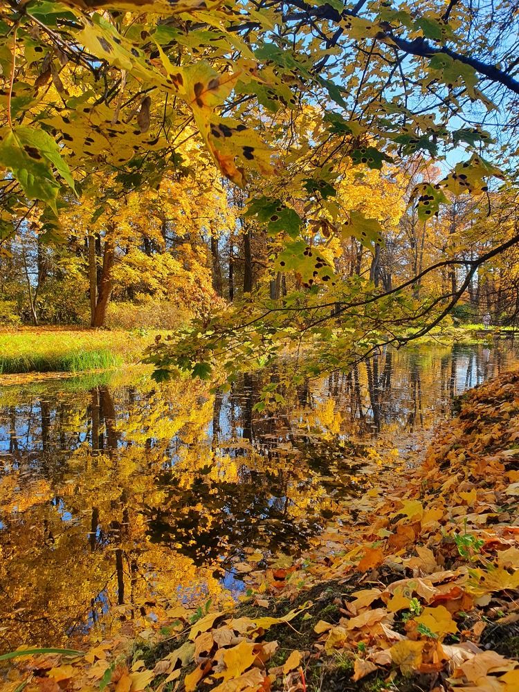 Photograph by Алина Логвиненко