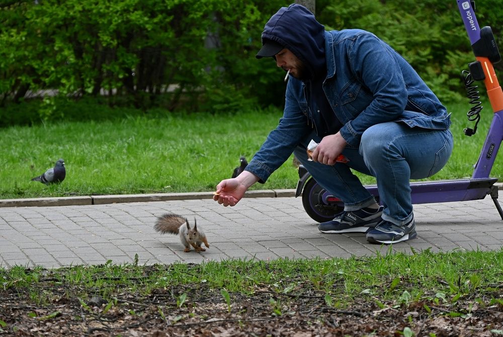 Photograph by Алексей Гордеев