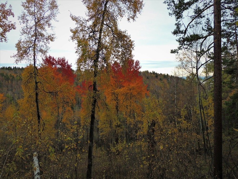 Осенний день