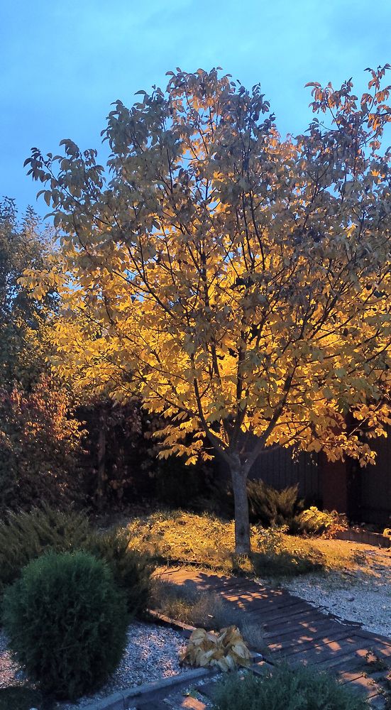 Photograph by Katerina Makhtadui