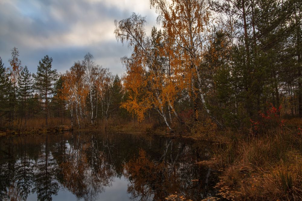 Photograph by Владимир Портуаров