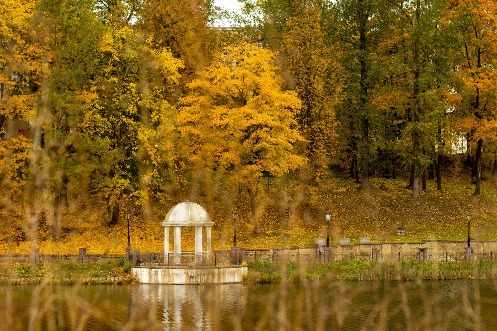 Краски осени