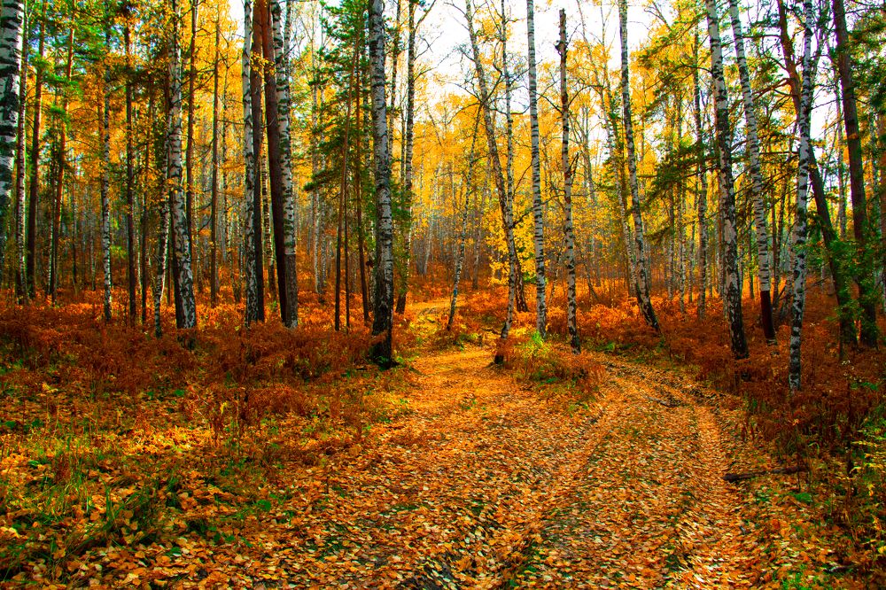 Photograph by Anton Shumanskiy