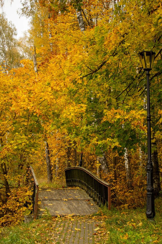 Краски осени