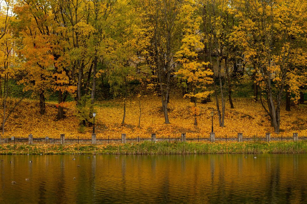 Photograph by Алла Хитрюк