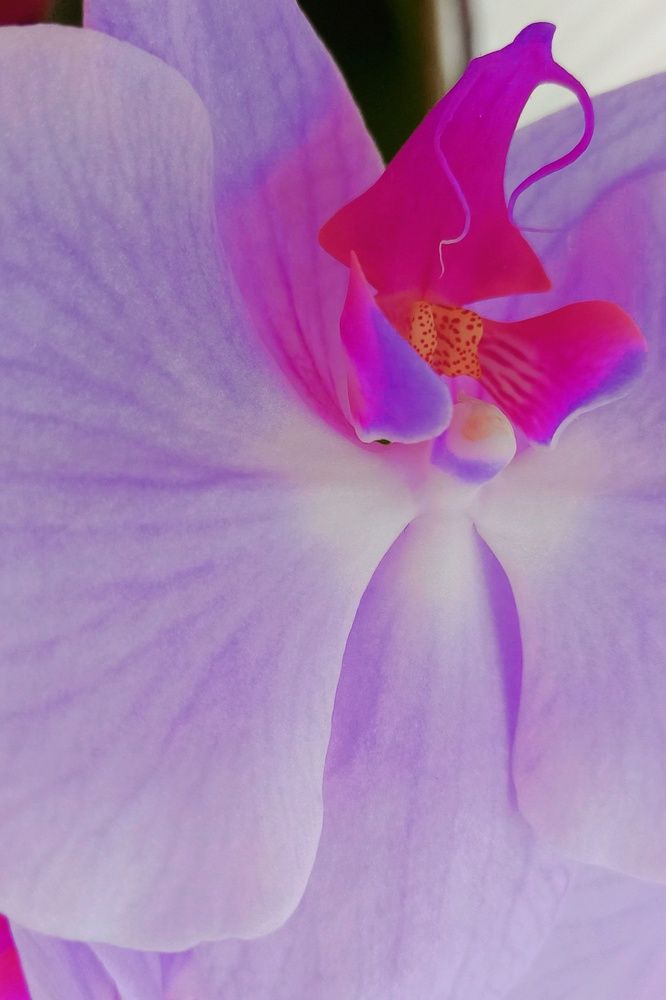 Photograph by Елена Никитина