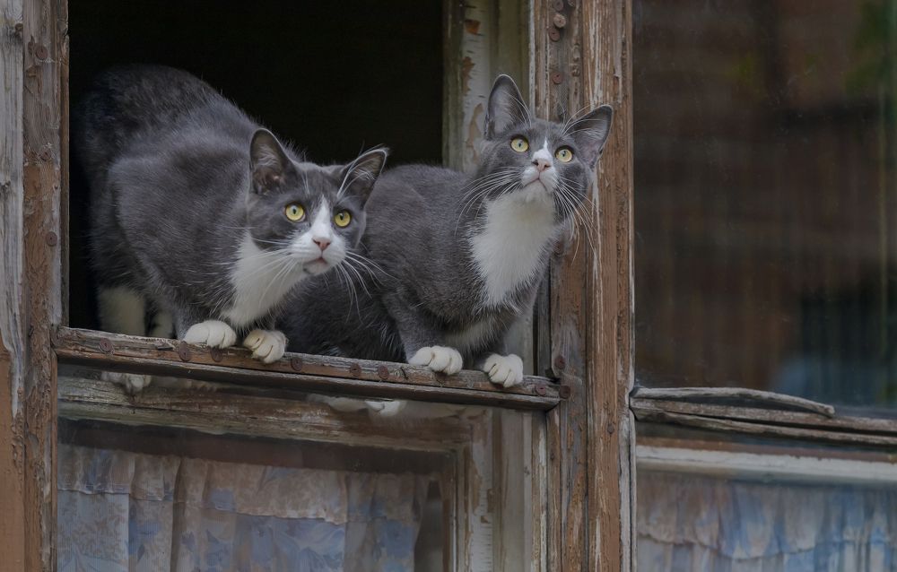 Photograph by Евгений Печенин