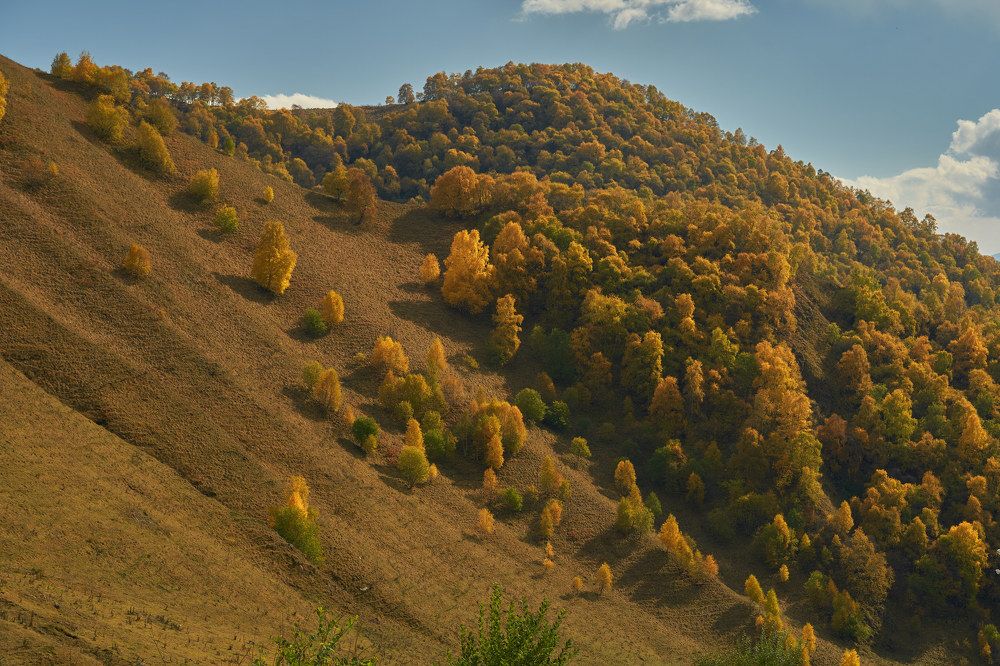 Photograph by Руфат Лажанский