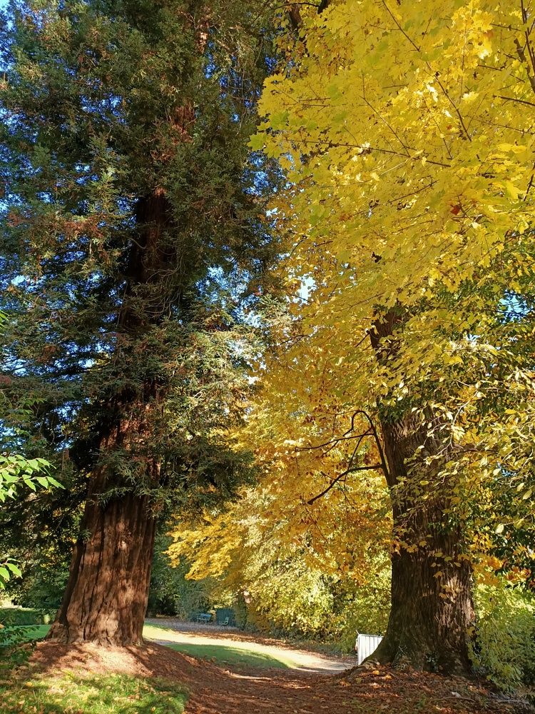 Фотография автора Elvira Minigulova