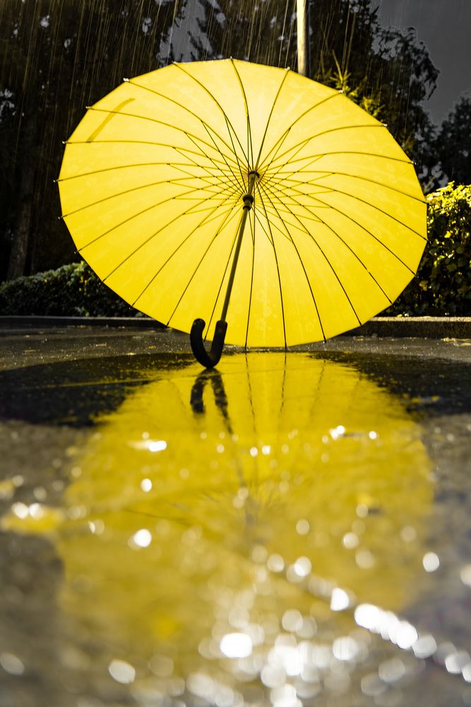 Photograph by Татьяна