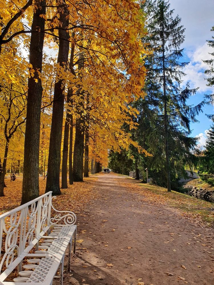 Photograph by Алина Логвиненко