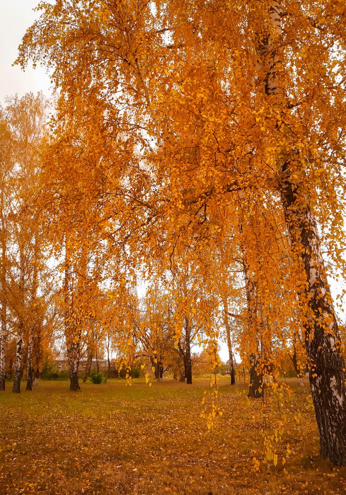 Photograph by Юлия Закопайло