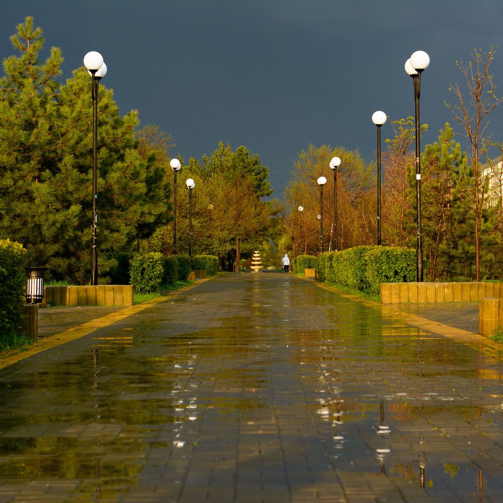 Photograph by Денис Хвостиков