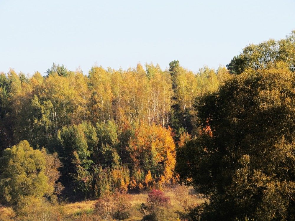 Photograph by Лариса Басова